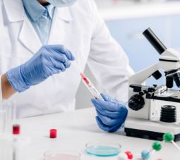 Japan IVD Tissue Diagnostics Market, Segment Analysis, Company Share Insights, Market Dynamics and Recent Developments – Forecast to 2030